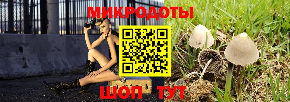 Протвино  Псилоцибиновые грибы Cubensis  Вход с VPN 