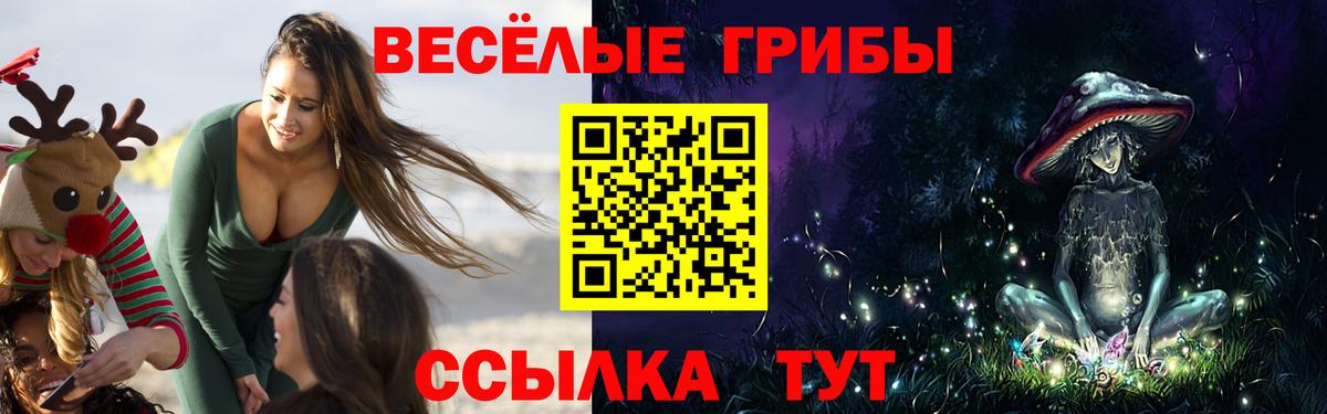Псилоцибиновые грибы MAGIC MUSHROOMS Протвино